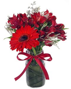 MINI ARRANJO GÉRBERA VERMELHA BRIGITE