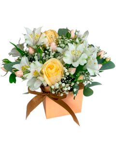 MINI BOX SALMÃO MIX DELICATA II