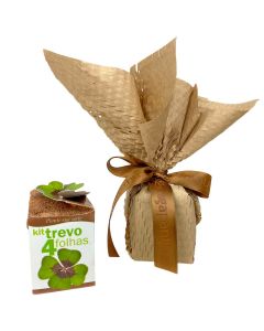 BULBOS DE TREVO DE QUATRO FOLHAS ADA II