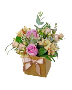 MINI BOX TONS PASTEL AYASHA