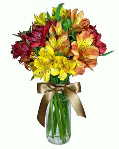 MINI ARRANJO ALSTROEMÉRIA MIX AMARELO ALARANJADO VERMELHO CELINHA